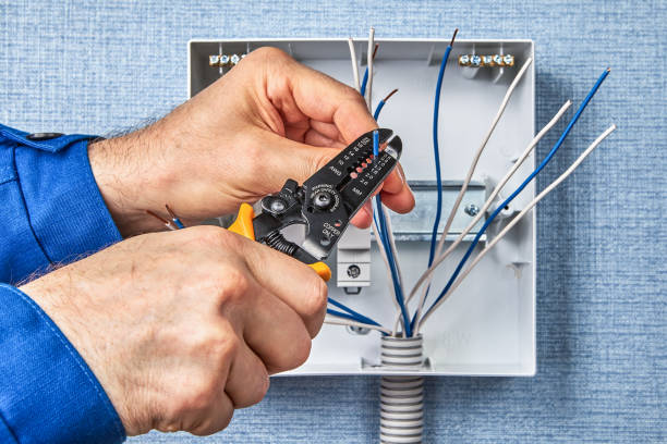 Best Electrical Remodeling Services  in Roman Forest, TX